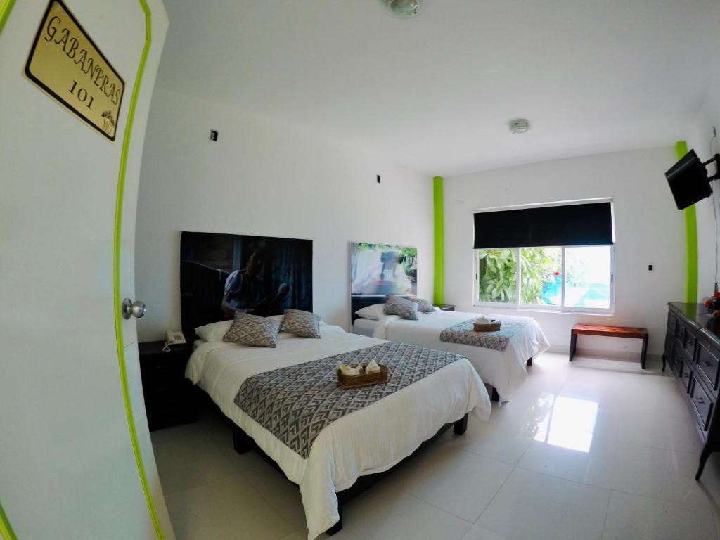 Hotel Maragreens photo
