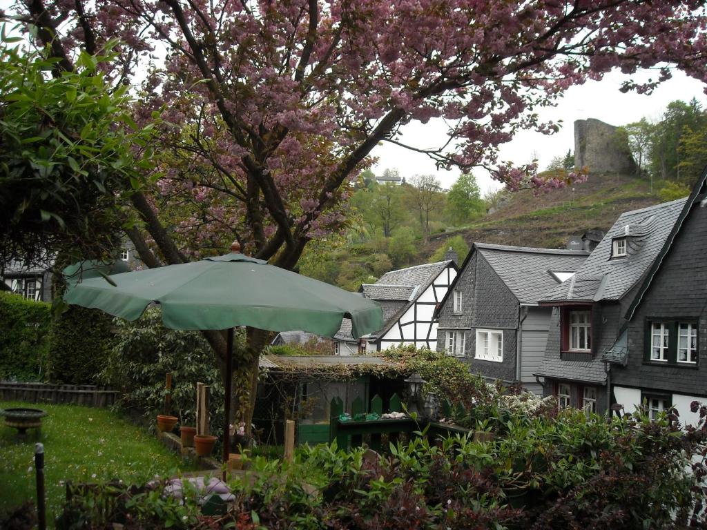 Hallerblick 전경