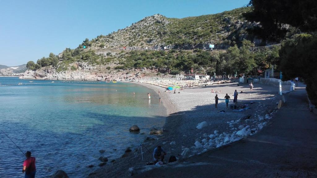 Programlehetőségek