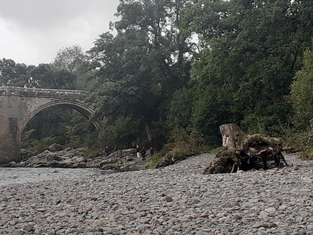 Surrounding environment