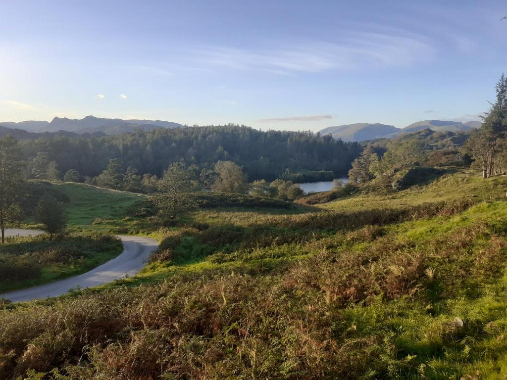 Surrounding environment