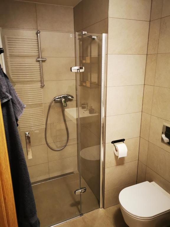Apartman Mlynska Strouha photo