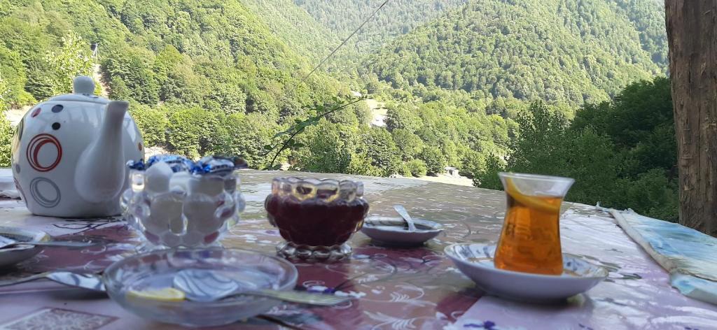 Gabala Mountains Villa photo