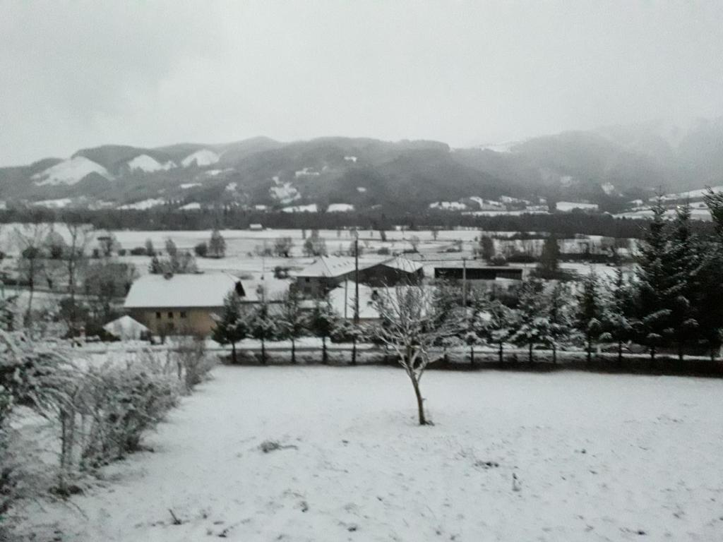 Mon ecrin de nature rez de jardin - 5