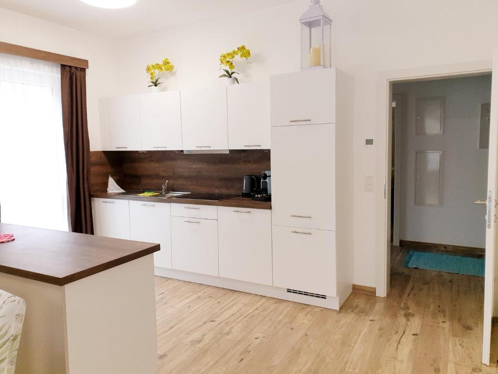 CityApartment MONIKA - 5
