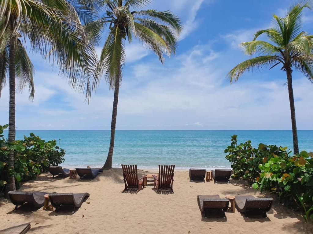 Makao Beach Hotel — Hotel in Palomino
