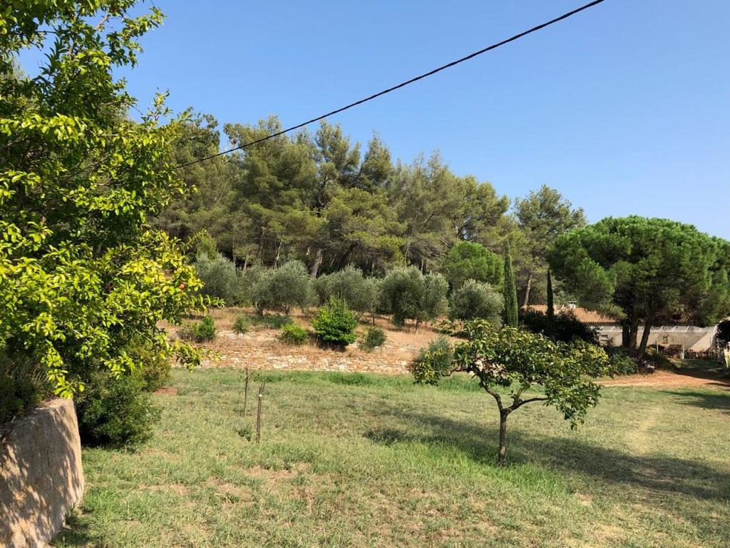 L'Oliveraie - 3