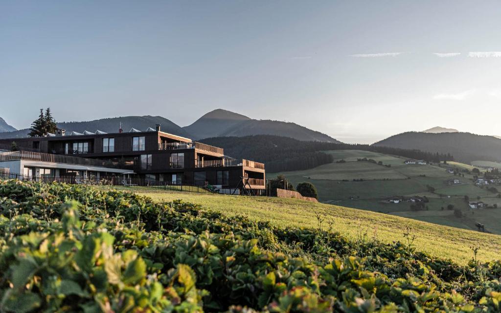 Aparthotel Panorama Living Dolomites - 1