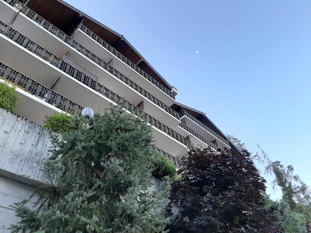 The fox's family home - Veysonnaz - 2