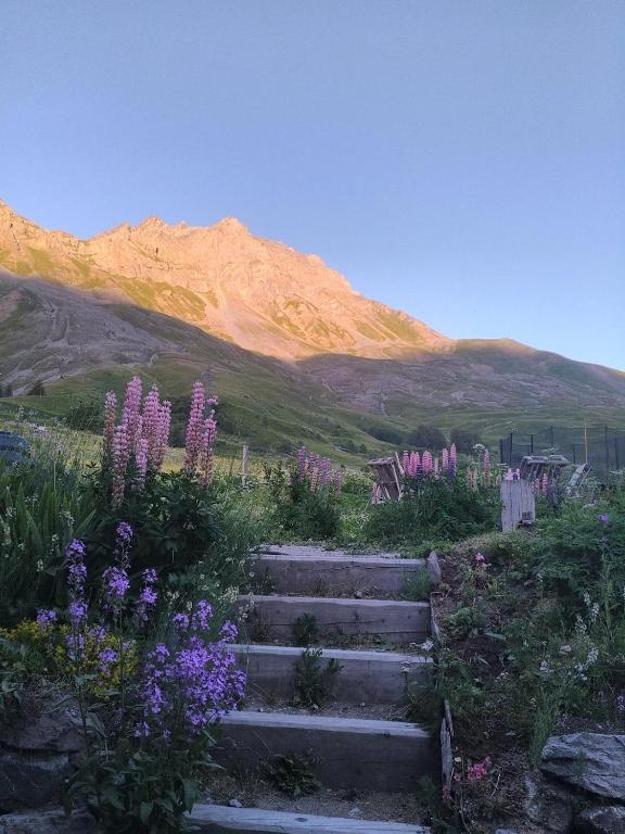 Le Ptit Chalet - 4