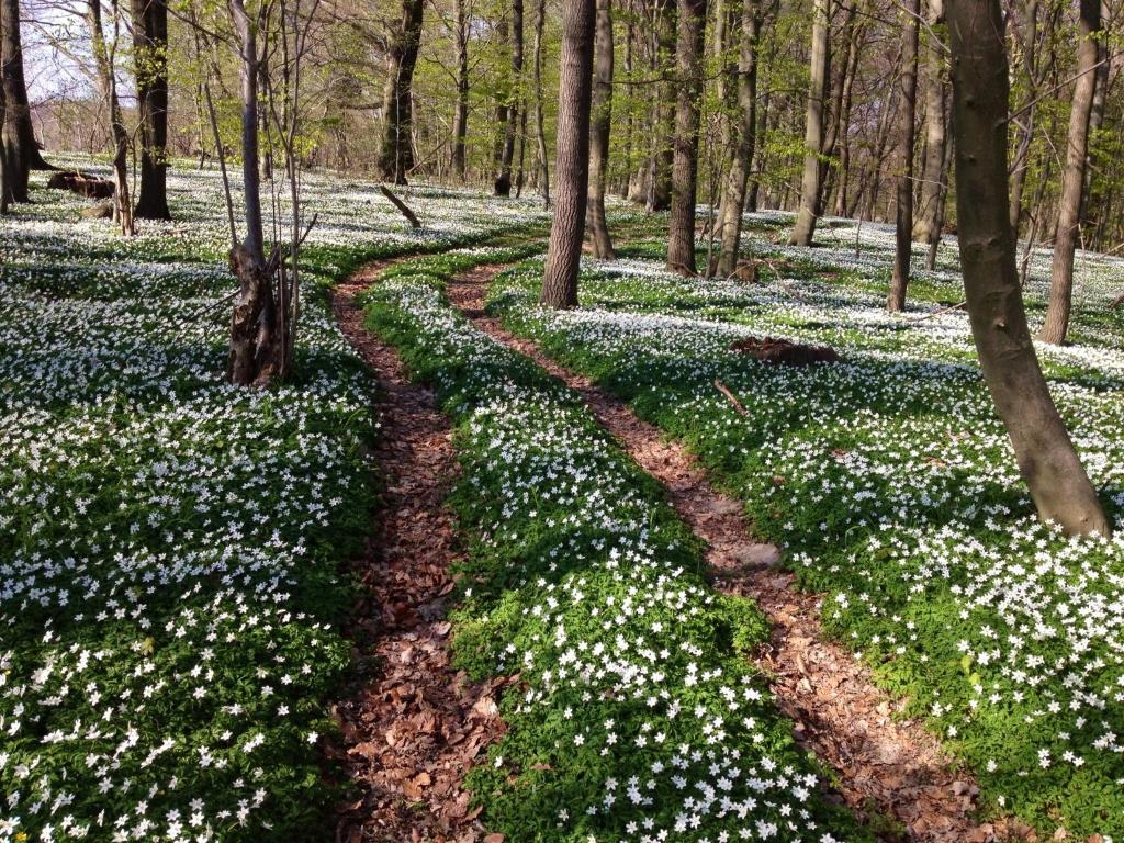 Surrounding environment