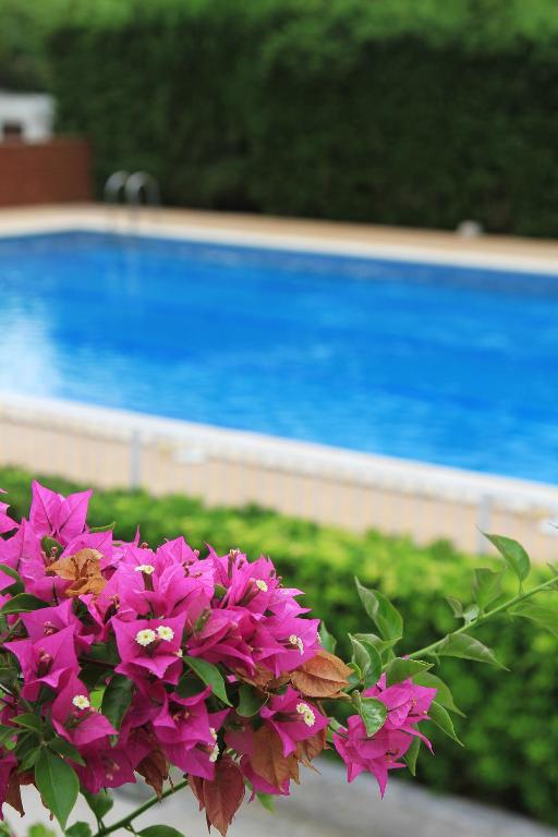 Camping La Rueda photo