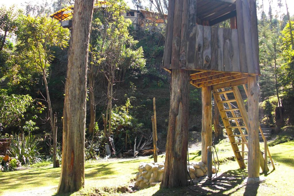 Altai Oasis Lodge photo