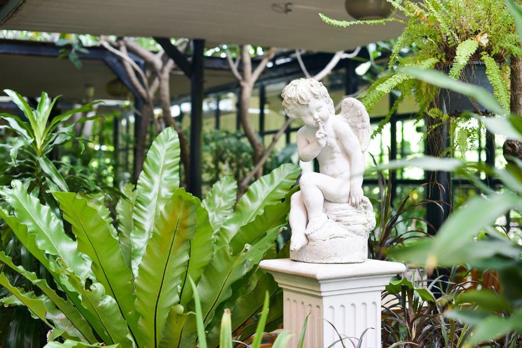 Jardí