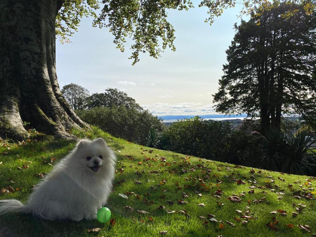 The Stables Ulverston 전경