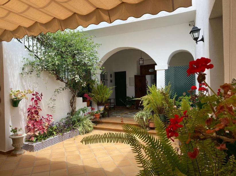Apartamentos El Arco - 3
