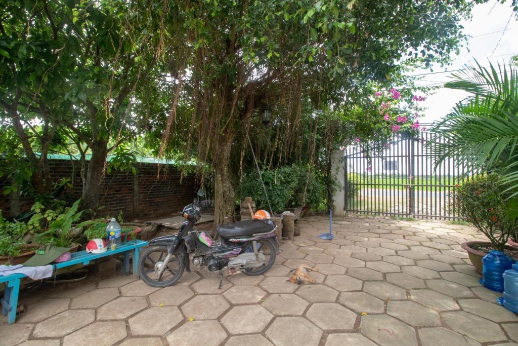 Vila Basi photo