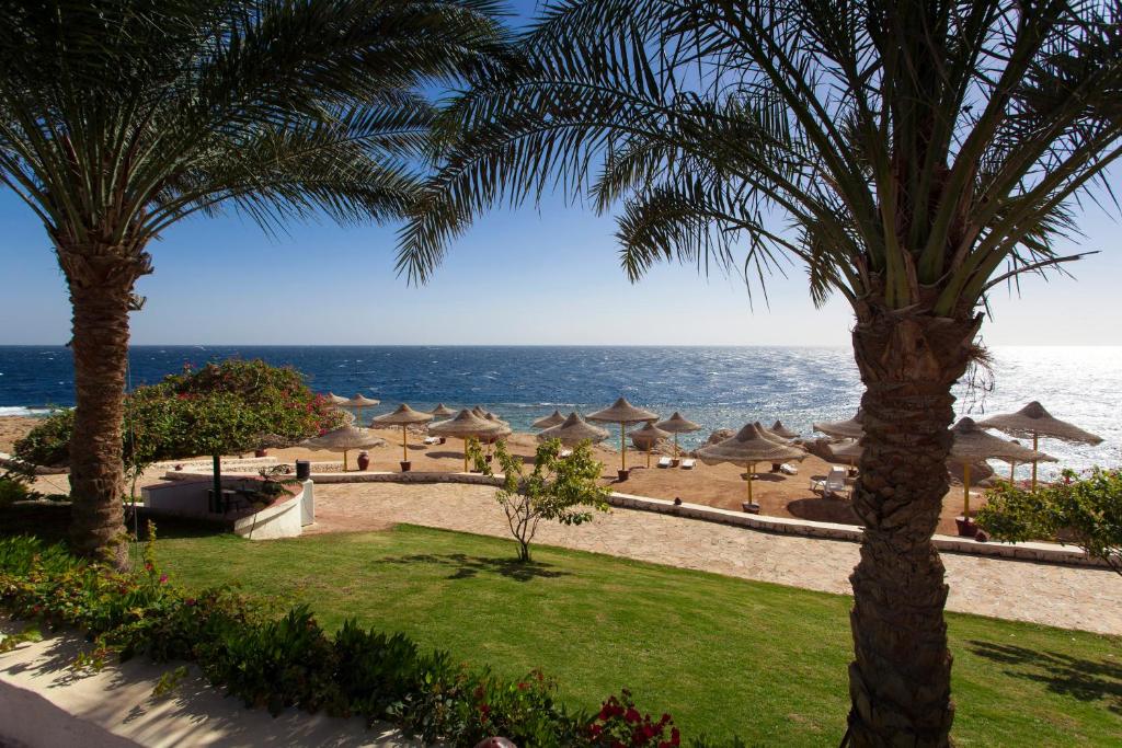 Sharm Club Beach Resort — Sharm El Sheikh, Red Sea