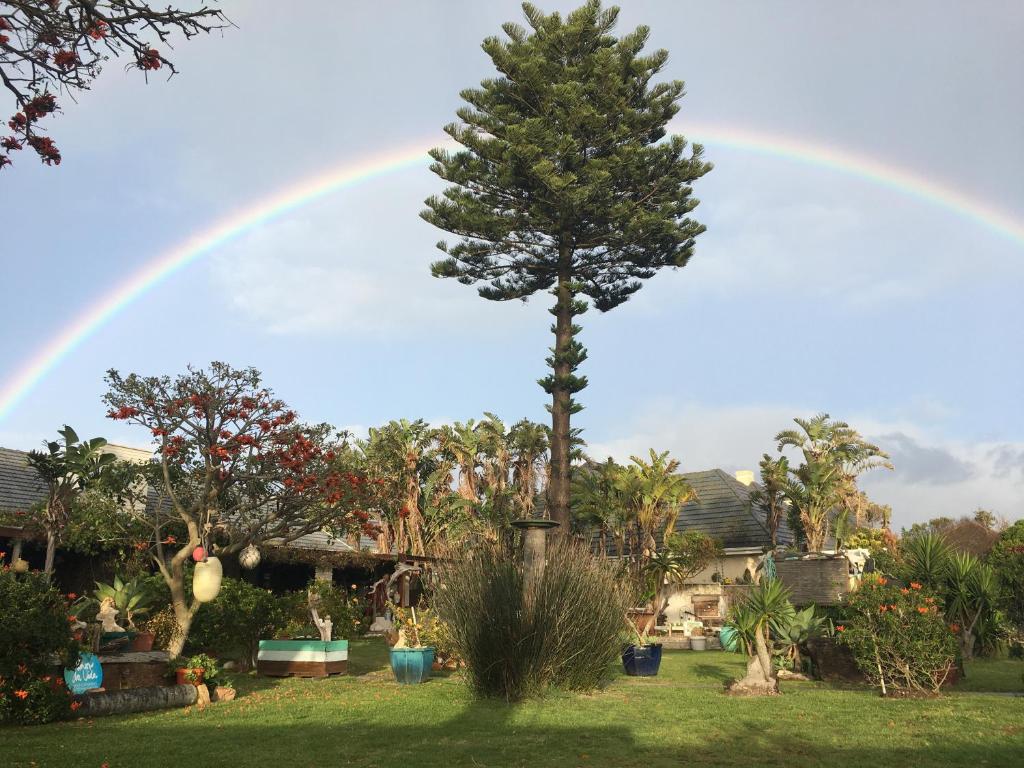 Amor Da Vida — Hotel in Port Elizabeth