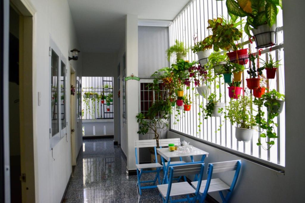 Blossom Homestay