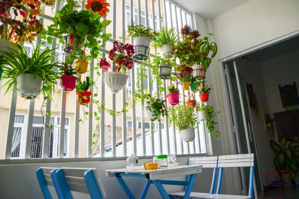 Blossom Homestay