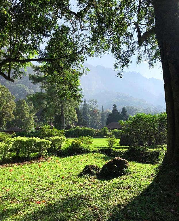 Surrounding environment