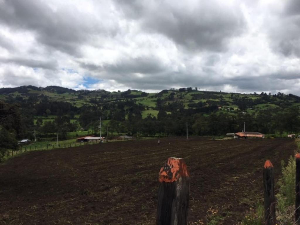 Finca San Carlos 100% pet friendly photo