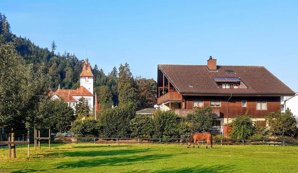 Surrounding environment