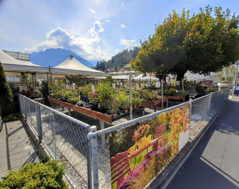 Shops, Jobling's Holiday Apartment in Interlaken