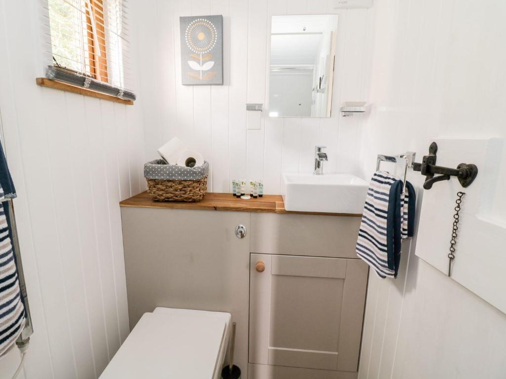 Betws View, Shepherd Hut photo