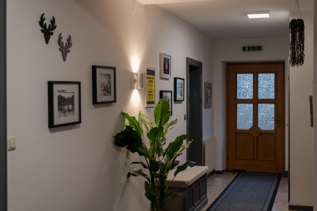Apartment, Haus Lederer - 5