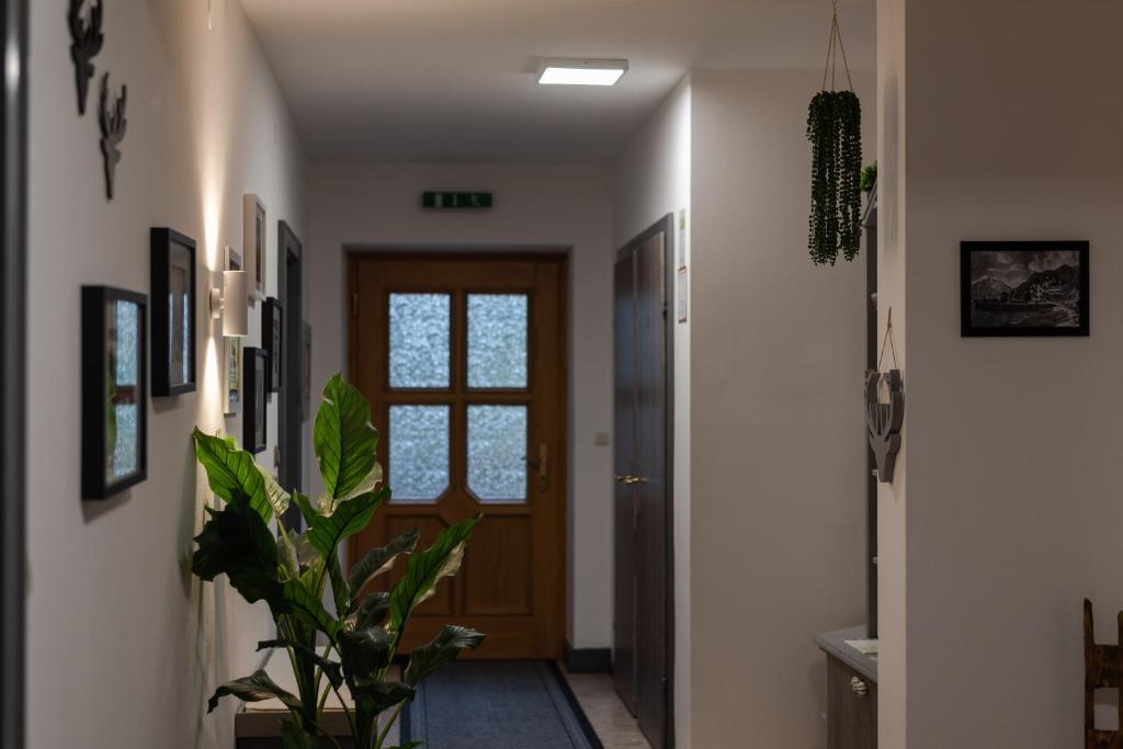 Apartment, Haus Lederer - 2