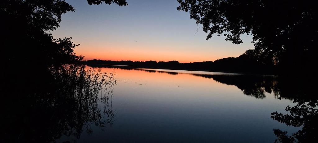 Hotel Seeblick am Sankelmarker See - Natur und Erholung photo