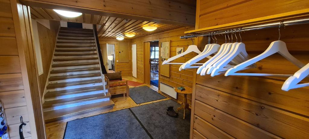 Silver Fox Hostel photo