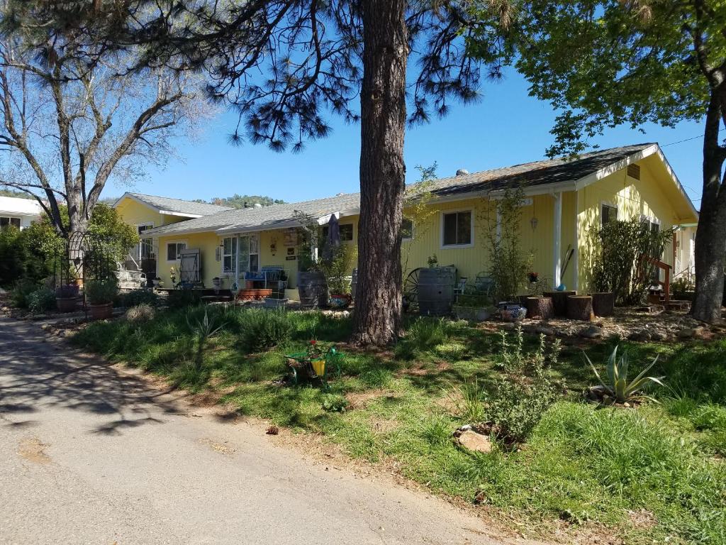 Yosemite Plaisance Bed & Breakfast photo