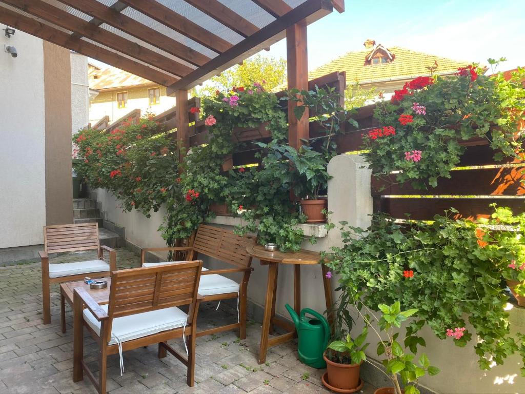 Buzoianu Residence photo