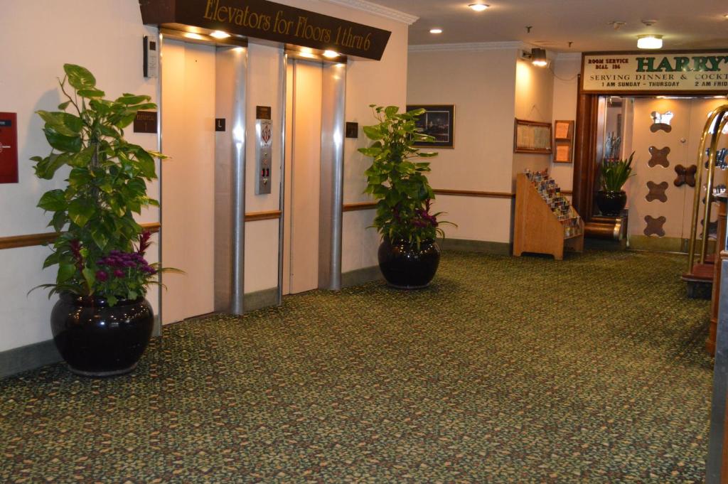 Hotel Harrington photo