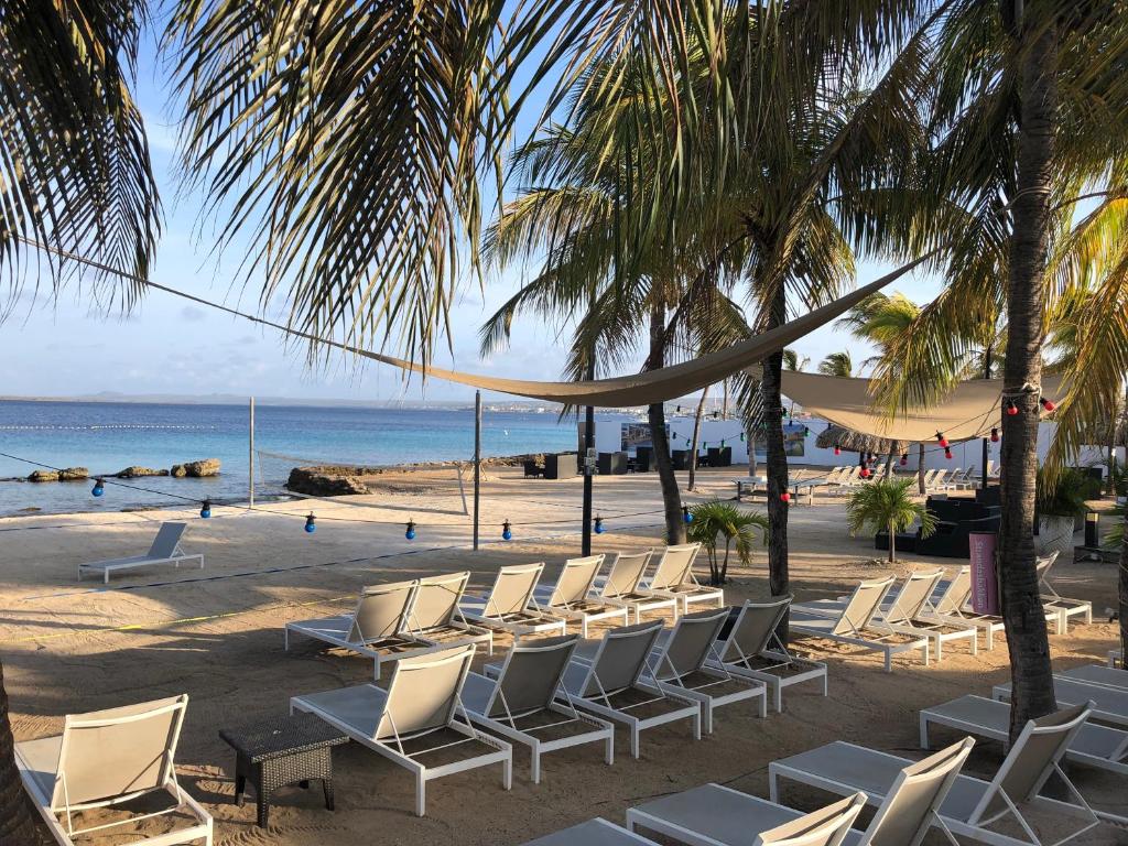 Plaza Beach Resort Bonaire Photo 16