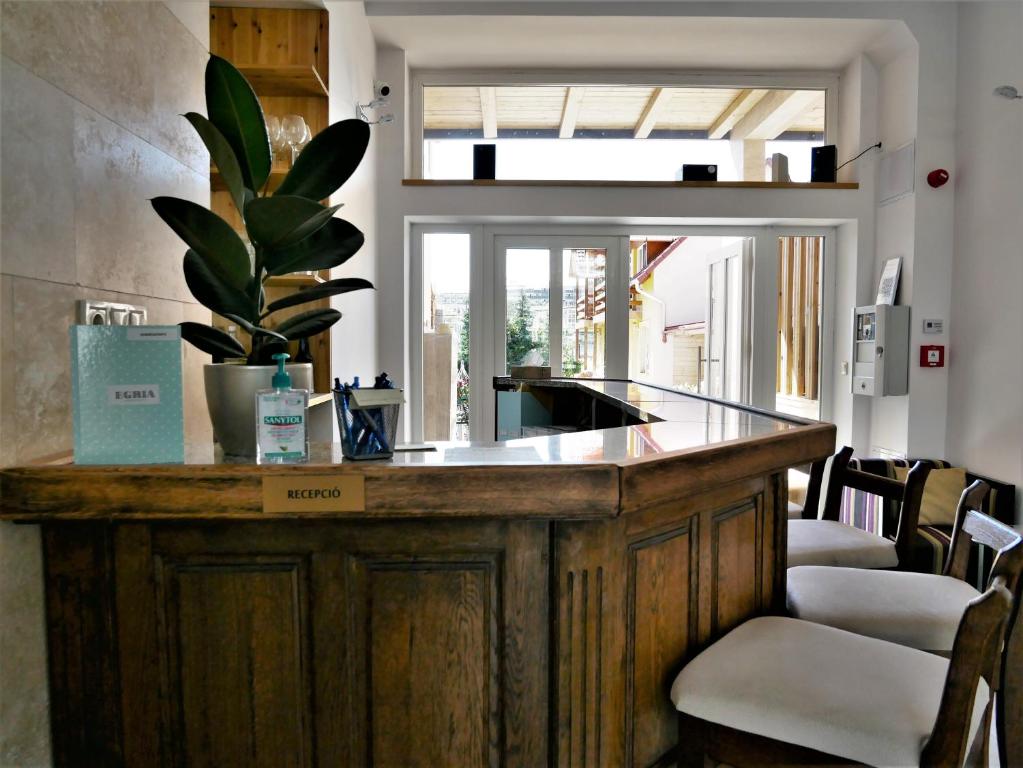 Egria Apartments photo