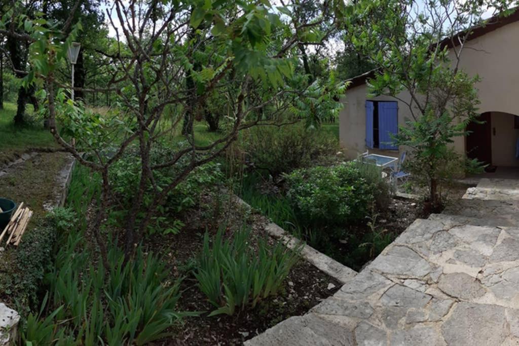 Location gte proche Gourdon 46300 4 6 personnes Location gite proche Gourdon 46300 4 a 6 personnes 전경