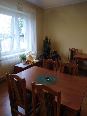 Pod Kogucikiem photo