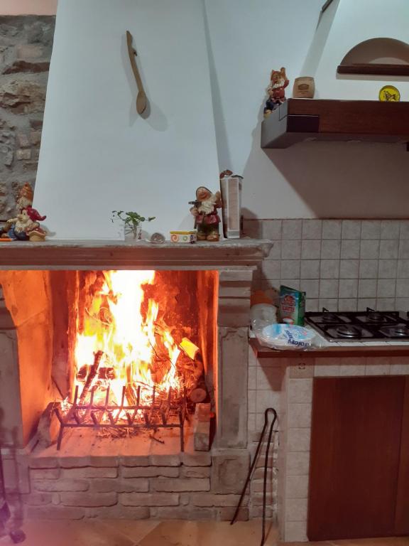 le rondini