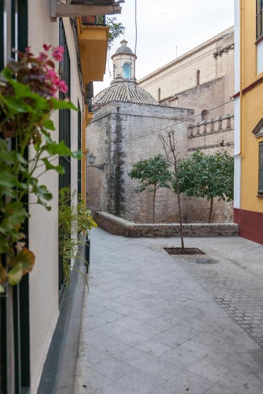 Bordador - 4