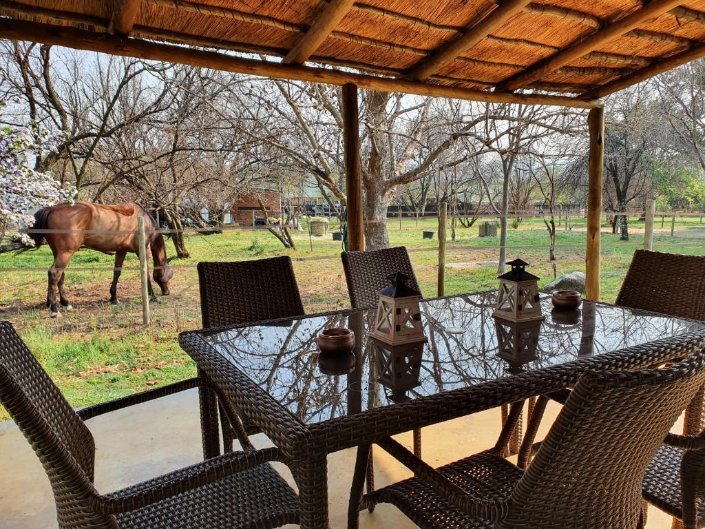 Kyalami Country Cottage, home away from home photo