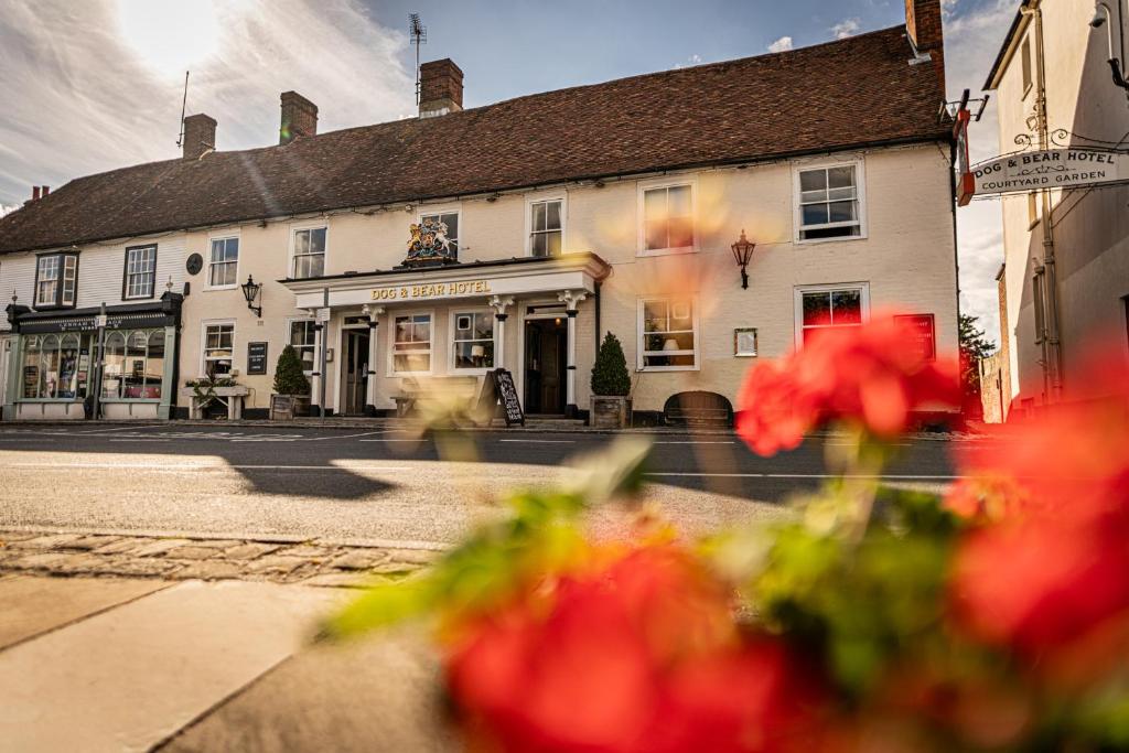 The Dog &amp; Bear Hotel — Hotel in Lenham