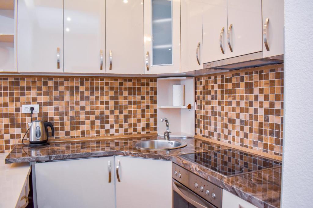 Apartman BLAGOJEVIĆ - 5