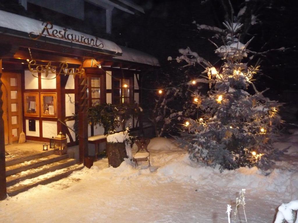 Hotel Restaurant Cafe Rapp photo