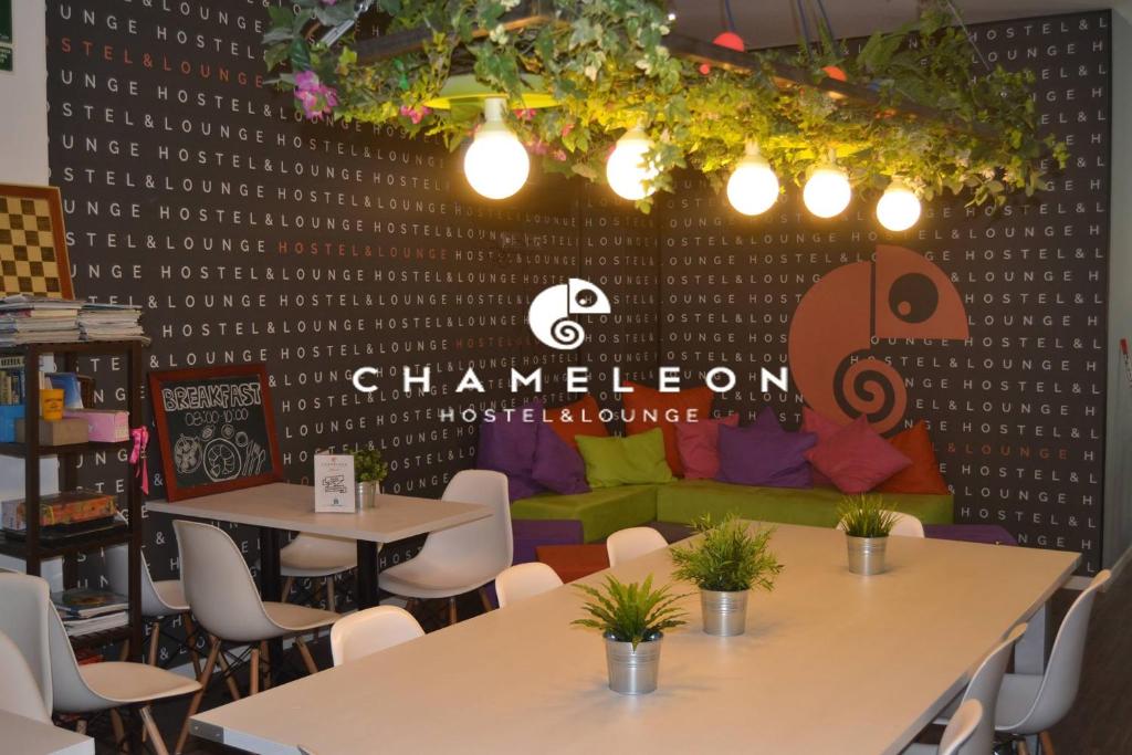 Chameleon Youth Hostel Alicante - 2