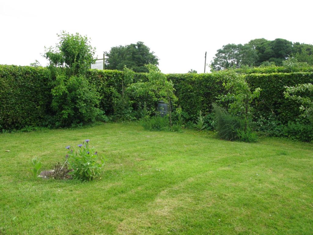 Avebury Life photo