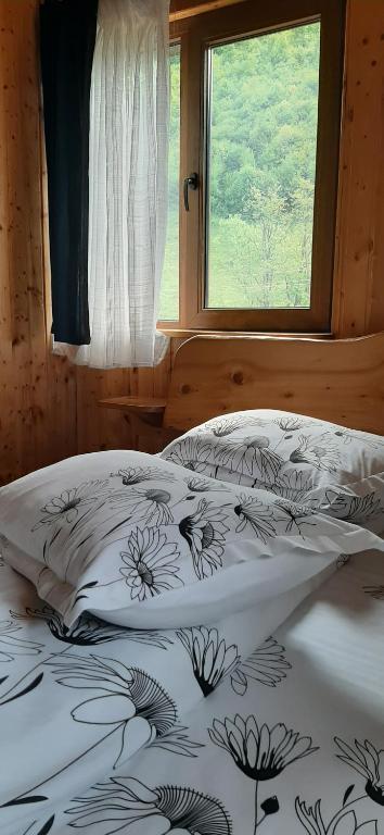 Cabana Ancutei photo